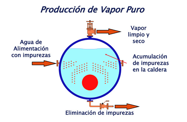 Producción de vapor puro