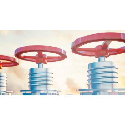 Válvulas de Compuerta