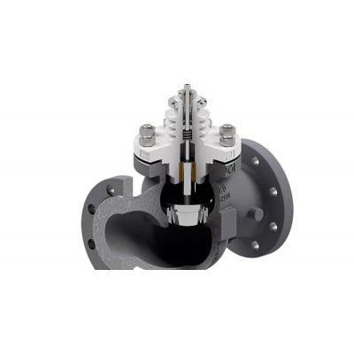 Parts of a valve