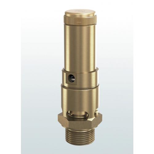 Brass atmospheric relief safety relief valve threaded connections SERIES 810 