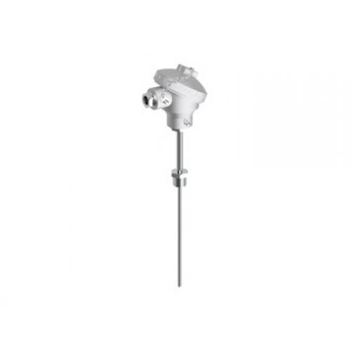 Temperature sensors TRPT1