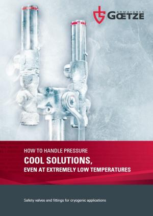 Cryogenic Safety Valves