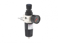 Filtro manoreductor P10